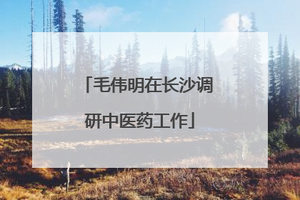 毛伟明在长沙调研中医药工作
